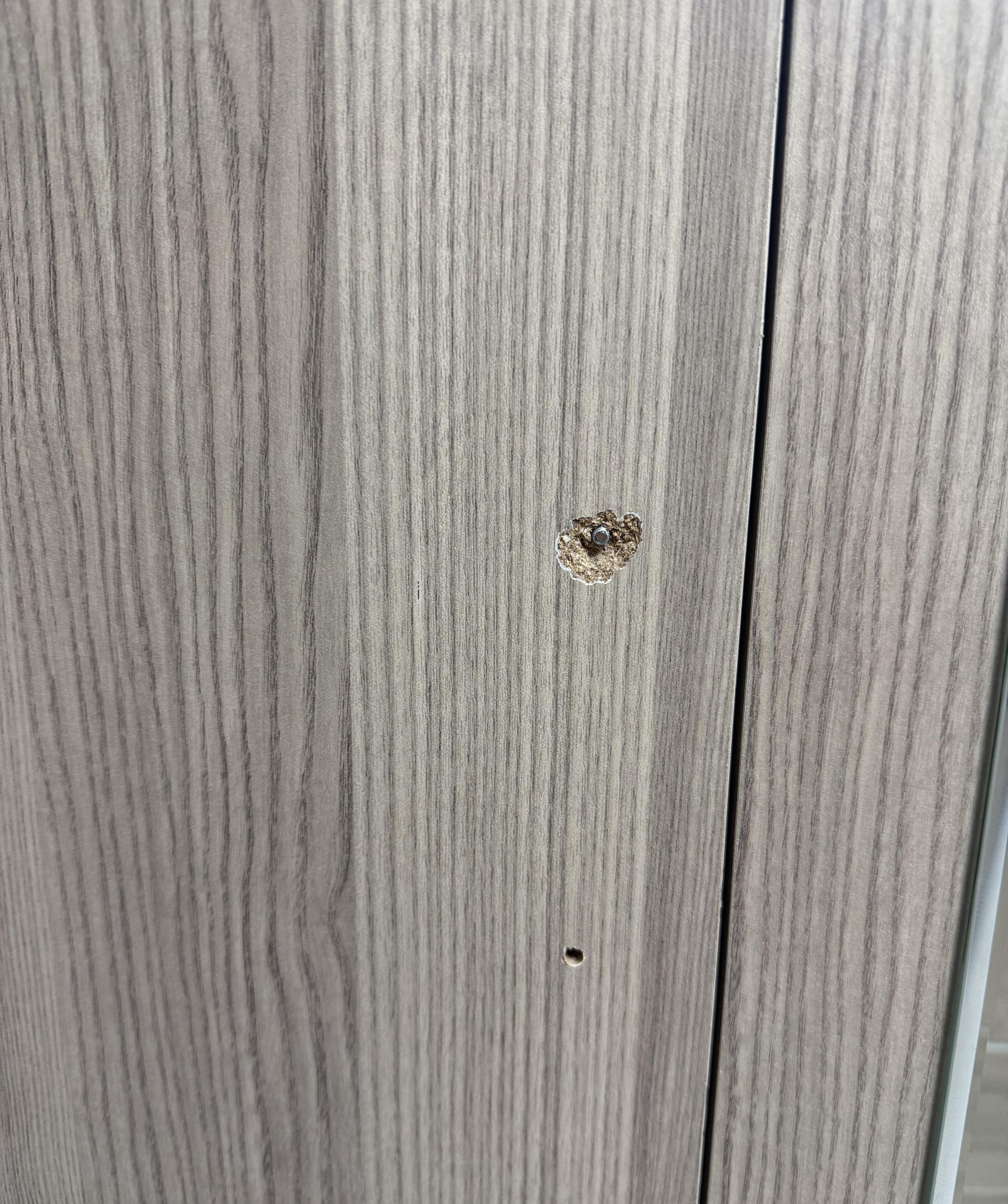 SEDEF 3 KAPAKLI GARDROP